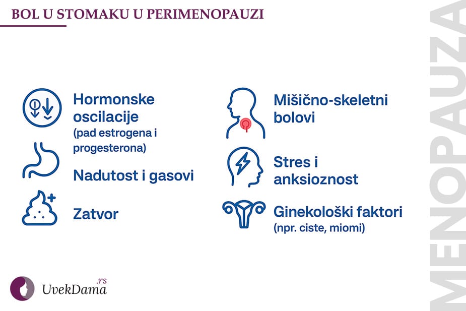 infografik razloga nastanka bola u stomaku