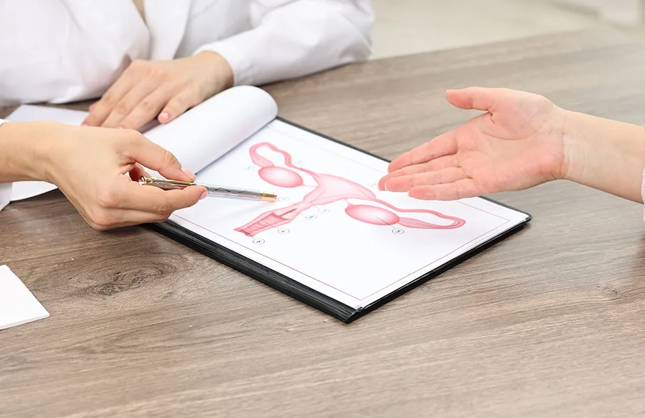 Doktor pokazuje ilustraciju ženskog reproduktivnog sistema pacijentkinji tokom konsultacije